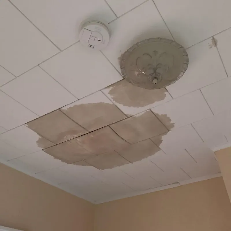 Ceiling Water Damage Repair in West Odessa, TX