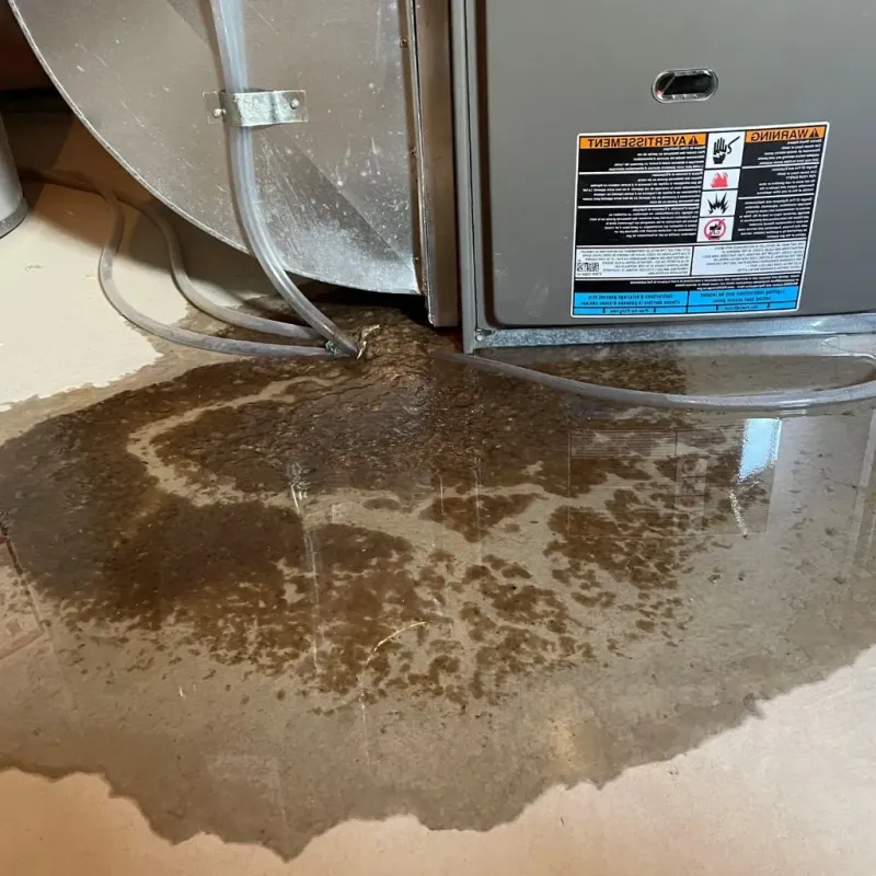 Pipe Burst and Leak Restoration in West Odessa, TX