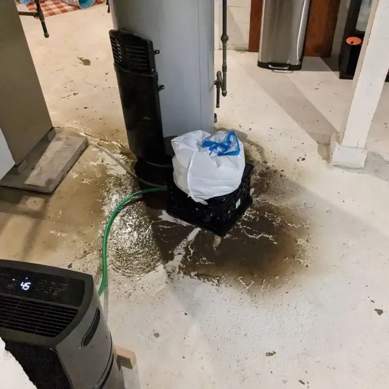 Sewage Backup Cleanup Service in West Odessa, TX